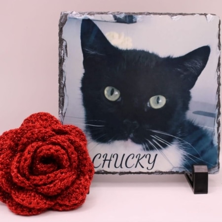 Bestel nu deze mooie vierkanten leisteen, maak de leisteen persoonlijk met een dierbare foto of tekst