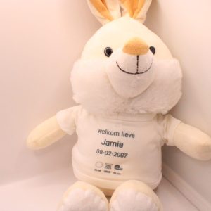 Pluche konijn met gepersonaliseerd T -shirt-een knuffel vol liefde en herinnering