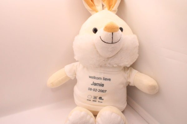 Pluche konijn met gepersonaliseerd T -shirt-een knuffel vol liefde en herinnering