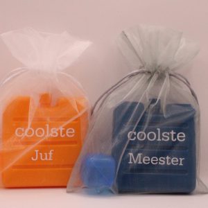 Gepersonaliseerd koelelement met naam of kleine tekst-compact met 1 ijsblokje verpakt in wit of grijs organza zakje