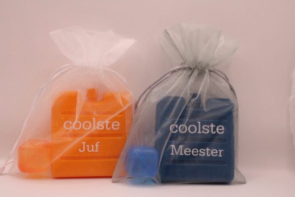 Gepersonaliseerd koelelement met naam of kleine tekst-compact met 1 ijsblokje verpakt in wit of grijs organza zakje